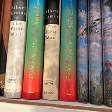 The Albert Camus 2 book set Knopf the plague the first man 1st editions