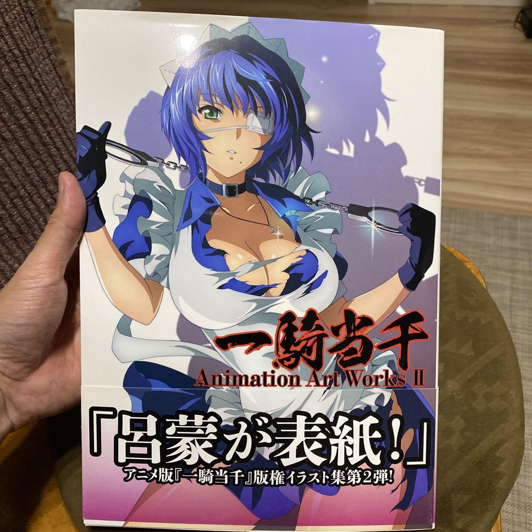 Ikkitousen Animation Art Works II