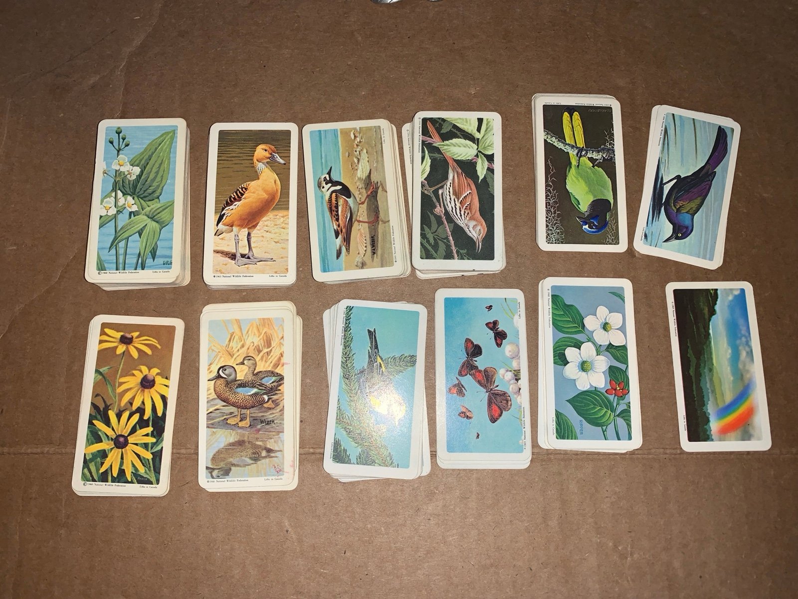 red rose tea cards Mixed Lot Of 141