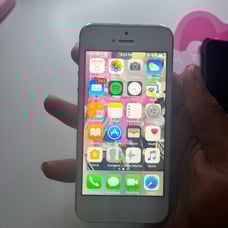 Apple iPhone 5s w/ phone case