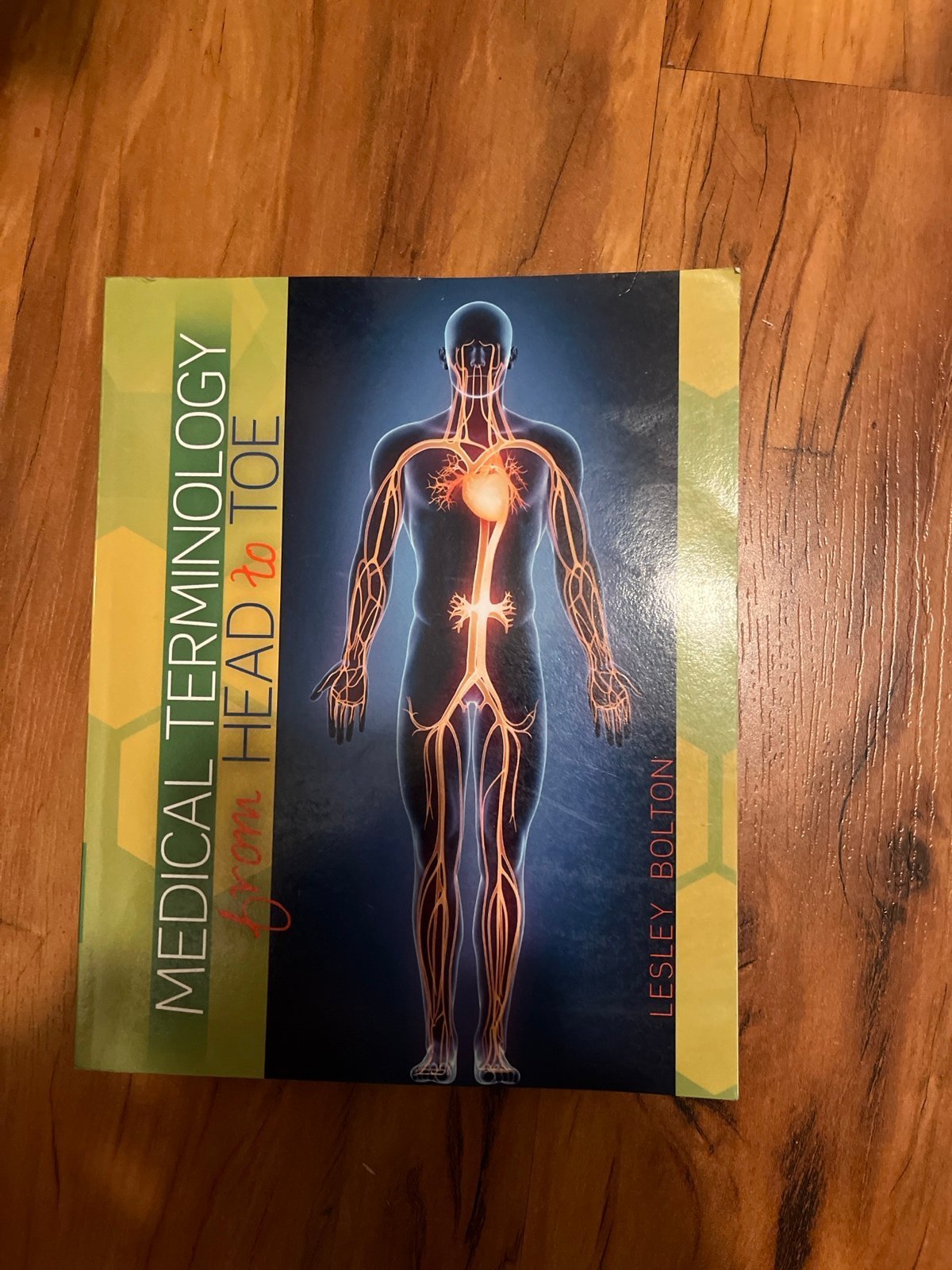 Lesley Bolton Medical Terminology from Head to Toe