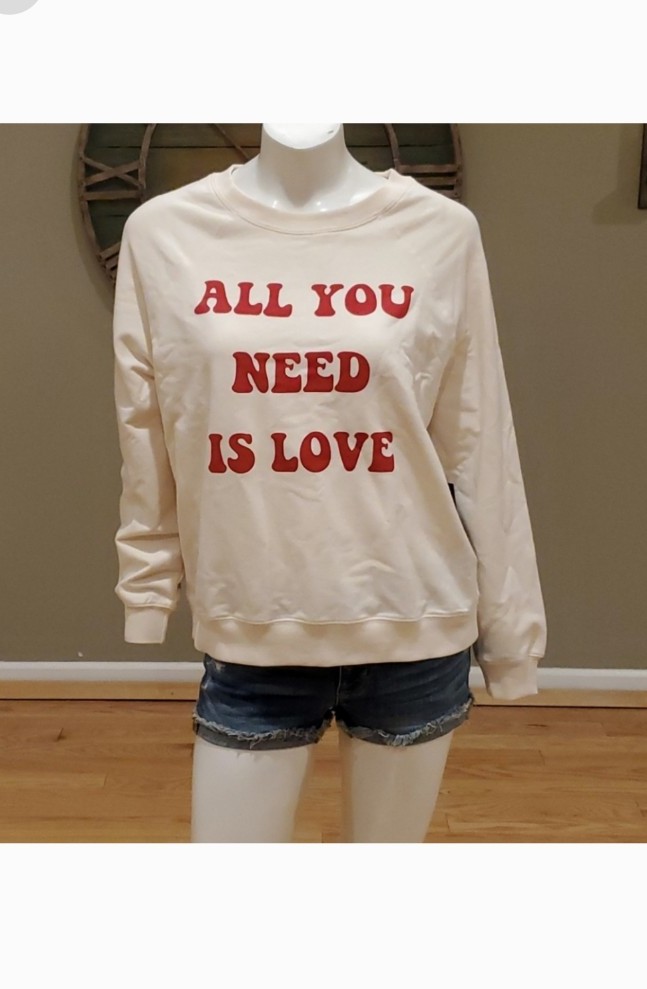 wildfox sweatshirt