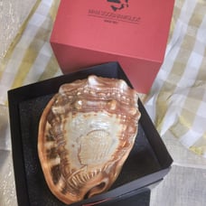 M+M Scognamiglio handcarved made in Italy Cameo shell vintage with original box