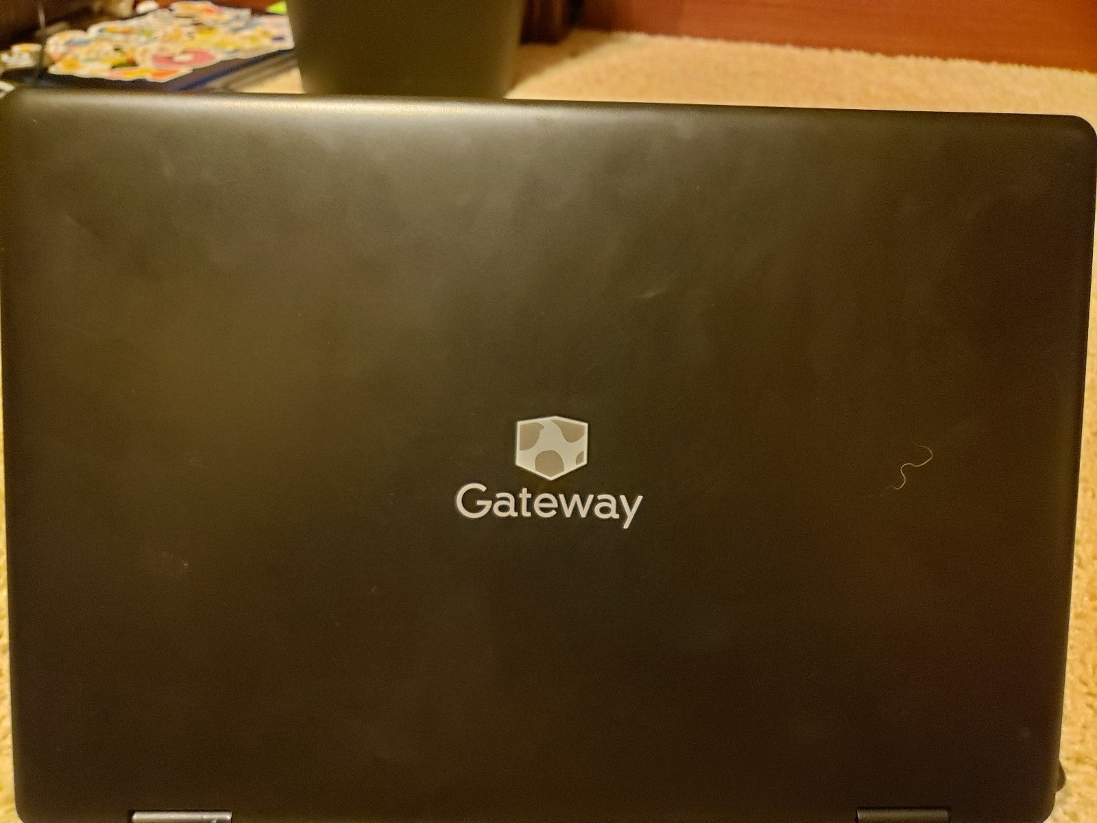 Gateway 10/11 laptop