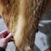 Fur jacket