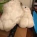 Feetpaws