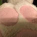 Feetpaws