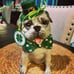 Blue Sky Clayworks St. Patricks Pug Figurine