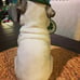 Blue Sky Clayworks St. Patricks Pug Figurine