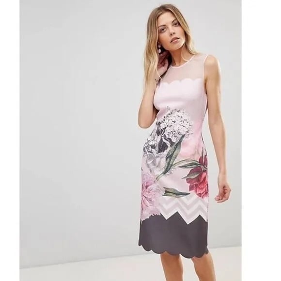 Ted Baker Arionah Palace Gardens Scallop Detail Midi Dress