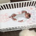 Lambs & Ivy Baby Girls Rule the World Pink Floral 5 Pc Nursery Crib Bedding Set