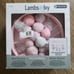 Lambs & Ivy Baby Girls Rule the World Pink Floral 5 Pc Nursery Crib Bedding Set