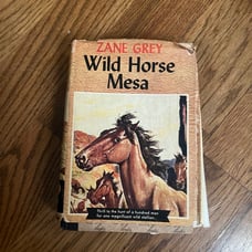 Rare WILD HORSE MESA New York: Grosset & Dunlap, 1952. Vintage Hardcover Book