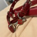 COACH rare DOG COLLAR & LEASH SET red leather studded medium - large