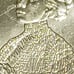 2023-P Jovita Idar error quarter In Cod We Trust