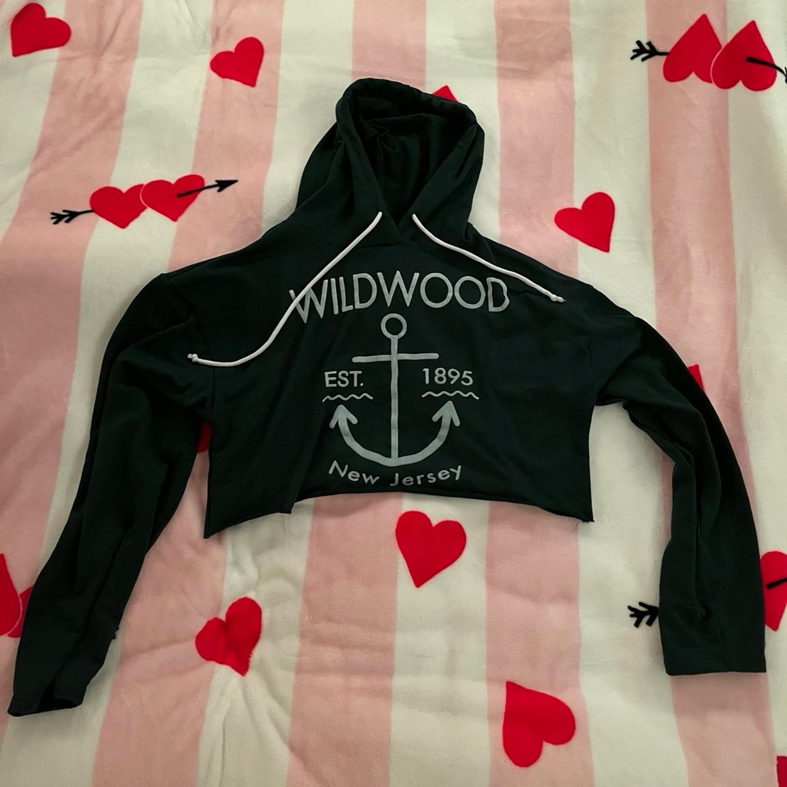 Wildwood cropped hoodie.