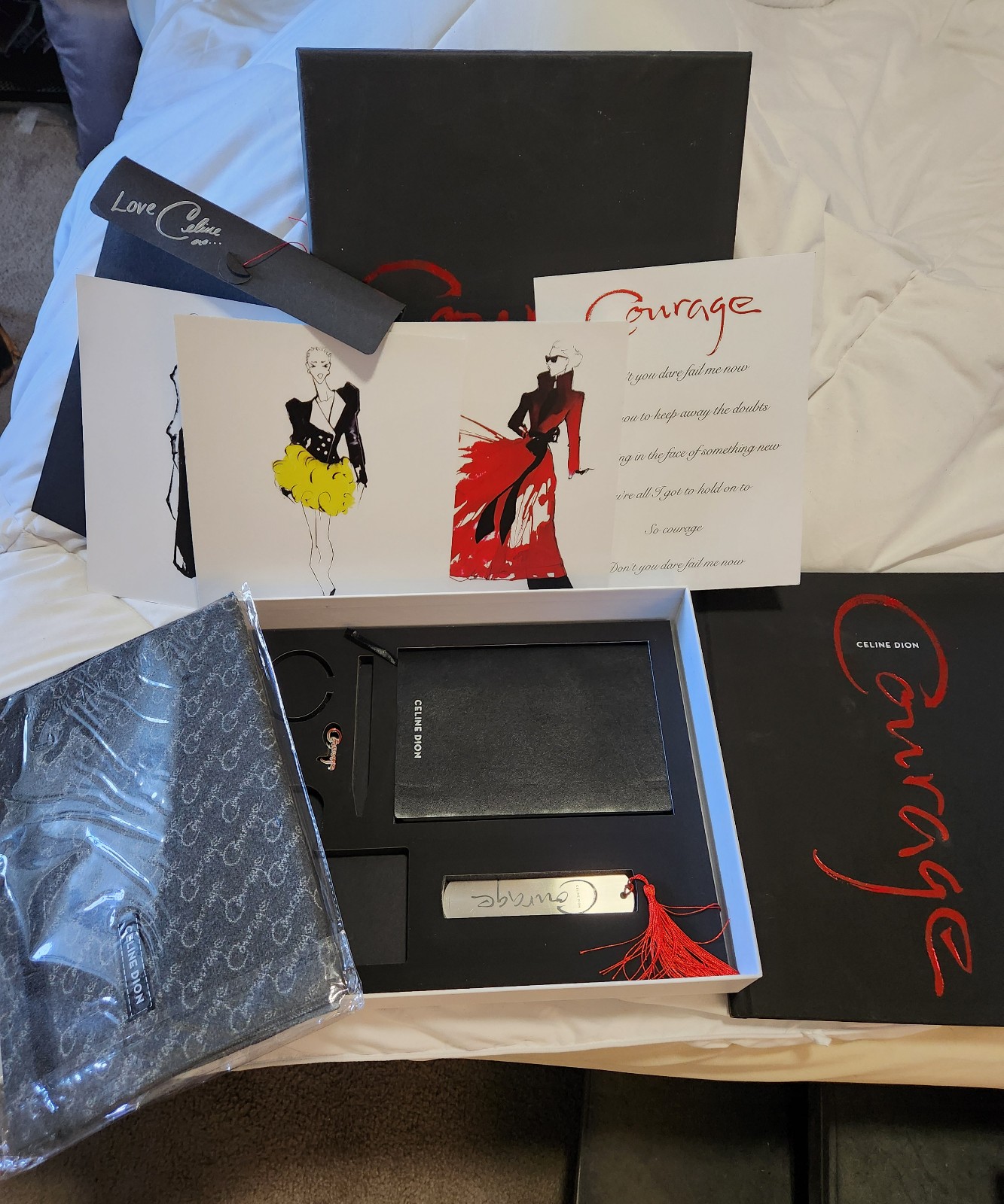 Celine Dion “Courage” tour VIP box