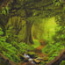 Forest Tapestry Nature Tree Cave Tapestry