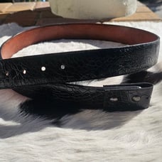 Pre ban sea turtle belt