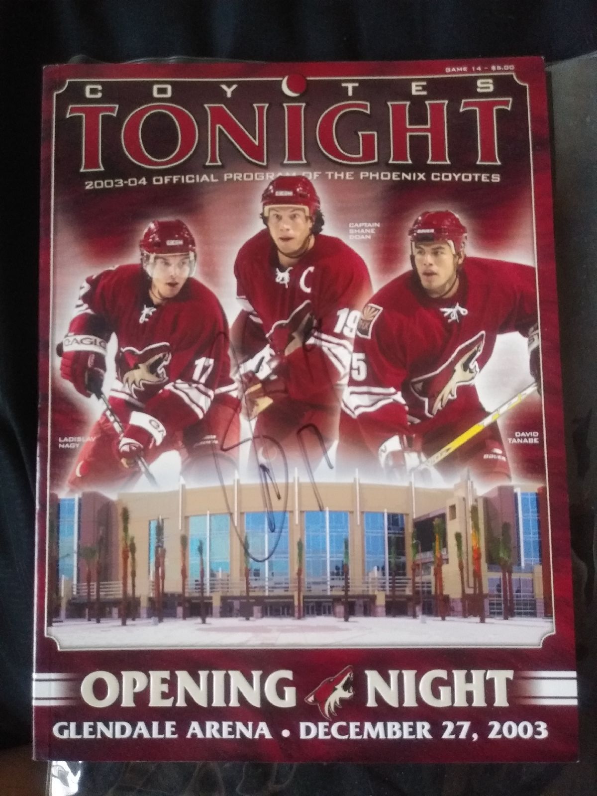 Arizona Coyotes program signed high quality by Shane