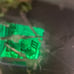 Halloween miniature haunted house.