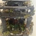 Halloween miniature haunted house.