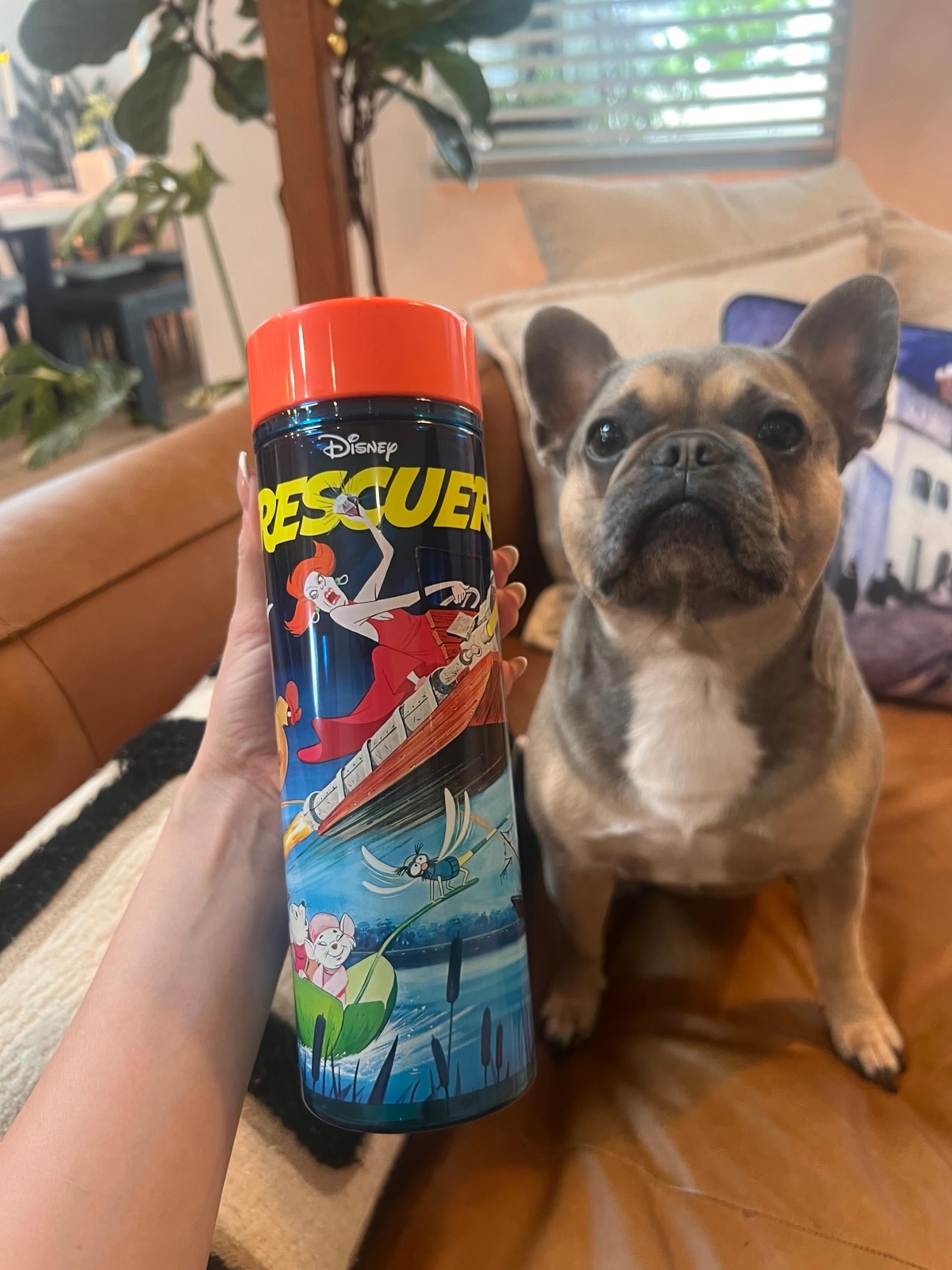 Disney’s The Rescuers Twist Top Water Bottle- Disney Store Exclusive