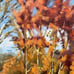 Original Fall Scenery Oil Painting On Canvas