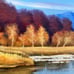 Original Fall Scenery Oil Painting On Canvas