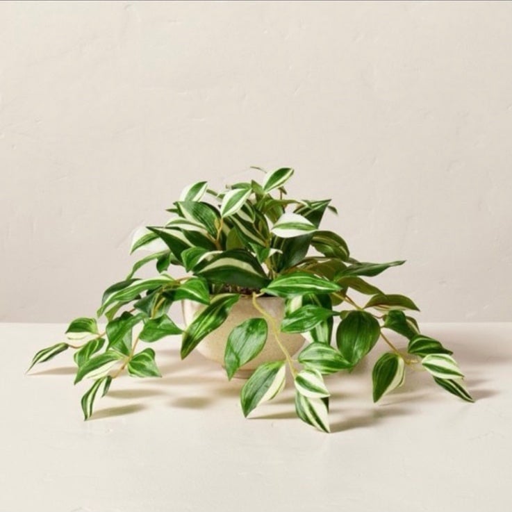 Hearth & Hand 7x19 Faux Variegated Zebrina Plant