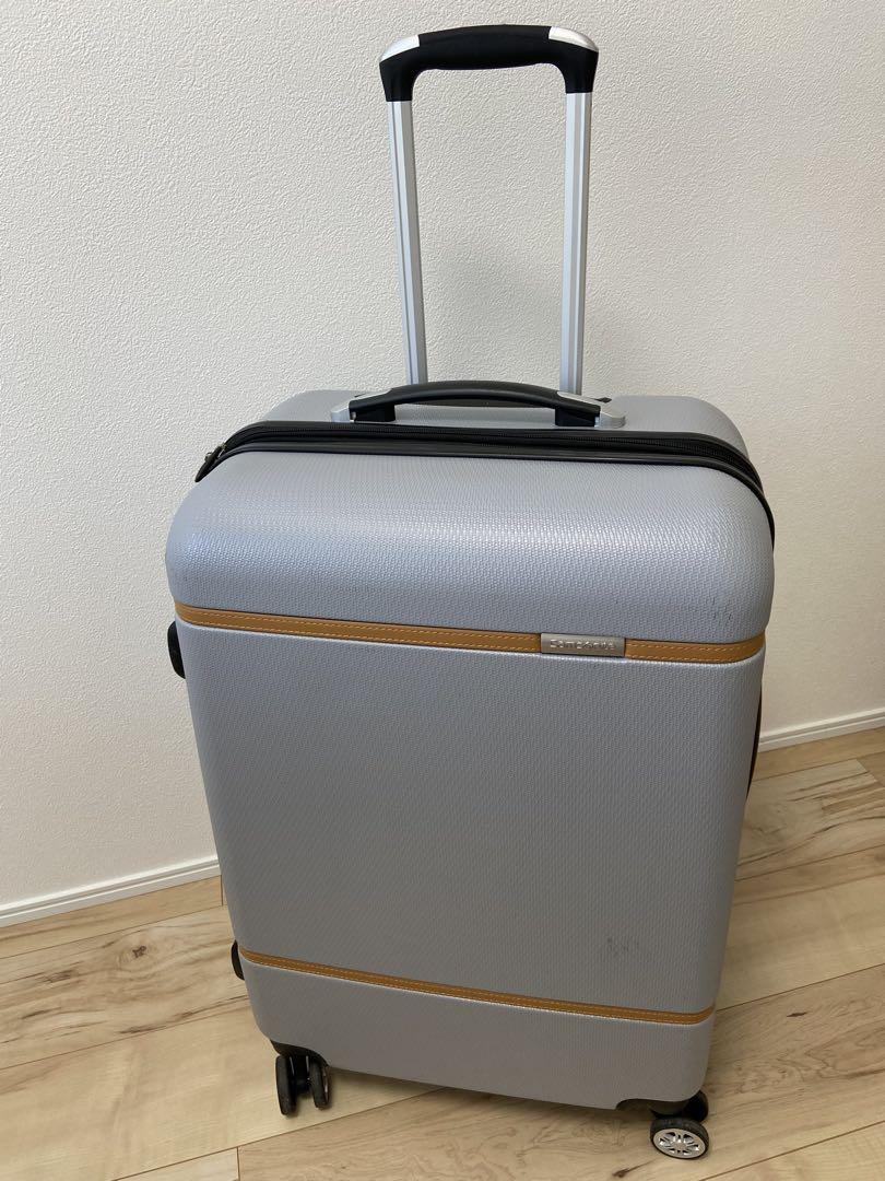 Samsonite Light Grey Carry Case