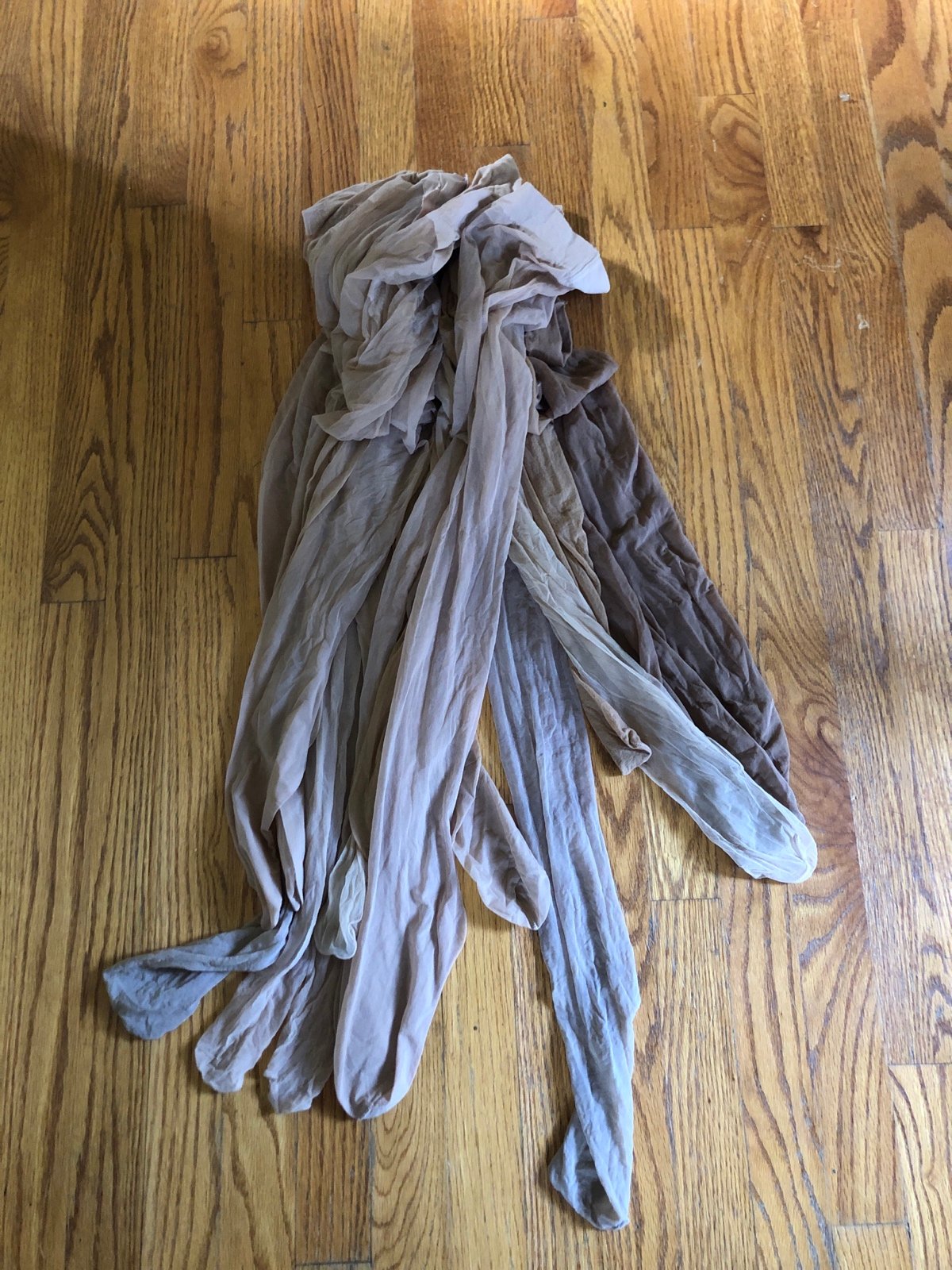 Pantyhose for dog day care