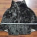 Regina Glenara By Glenoit Women's Brown Lined faux fur Open Front Stole Cape