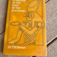 SYMBOLISM OF THE GODS OF THE EGYPTIANS,: AND THE LIGHT