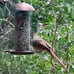 2 Pack Metal Wide Bird Feeders - Hanging Outdoor Bird Feeder with 1.6lbs