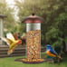 2 Pack Metal Wide Bird Feeders - Hanging Outdoor Bird Feeder with 1.6lbs