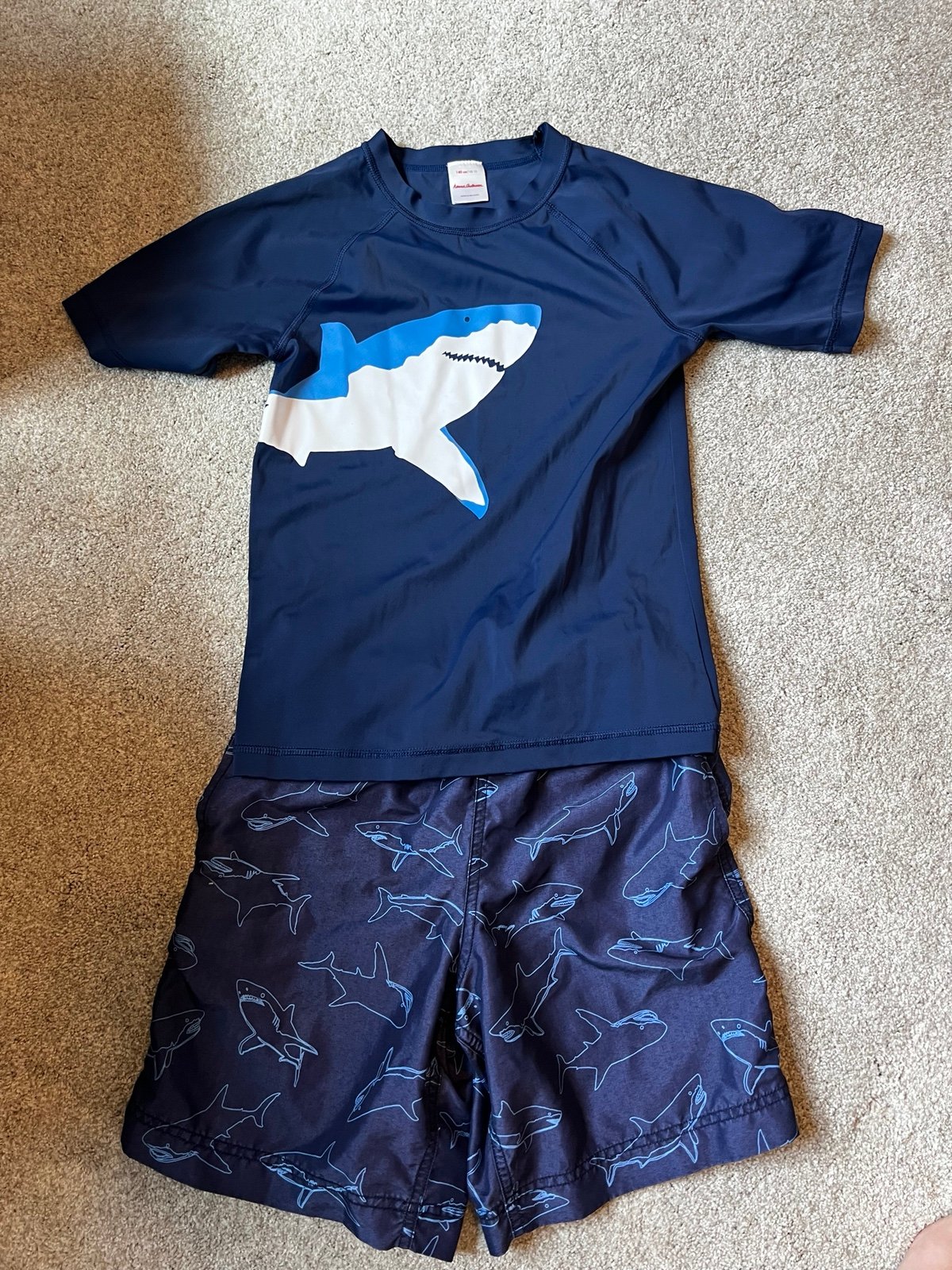 Hanna Andersson swim set, size 140, with trunks and rash guard