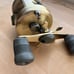 Shimano Calcutta 250 Baitcasting Reel