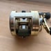 Shimano Calcutta 250 Baitcasting Reel
