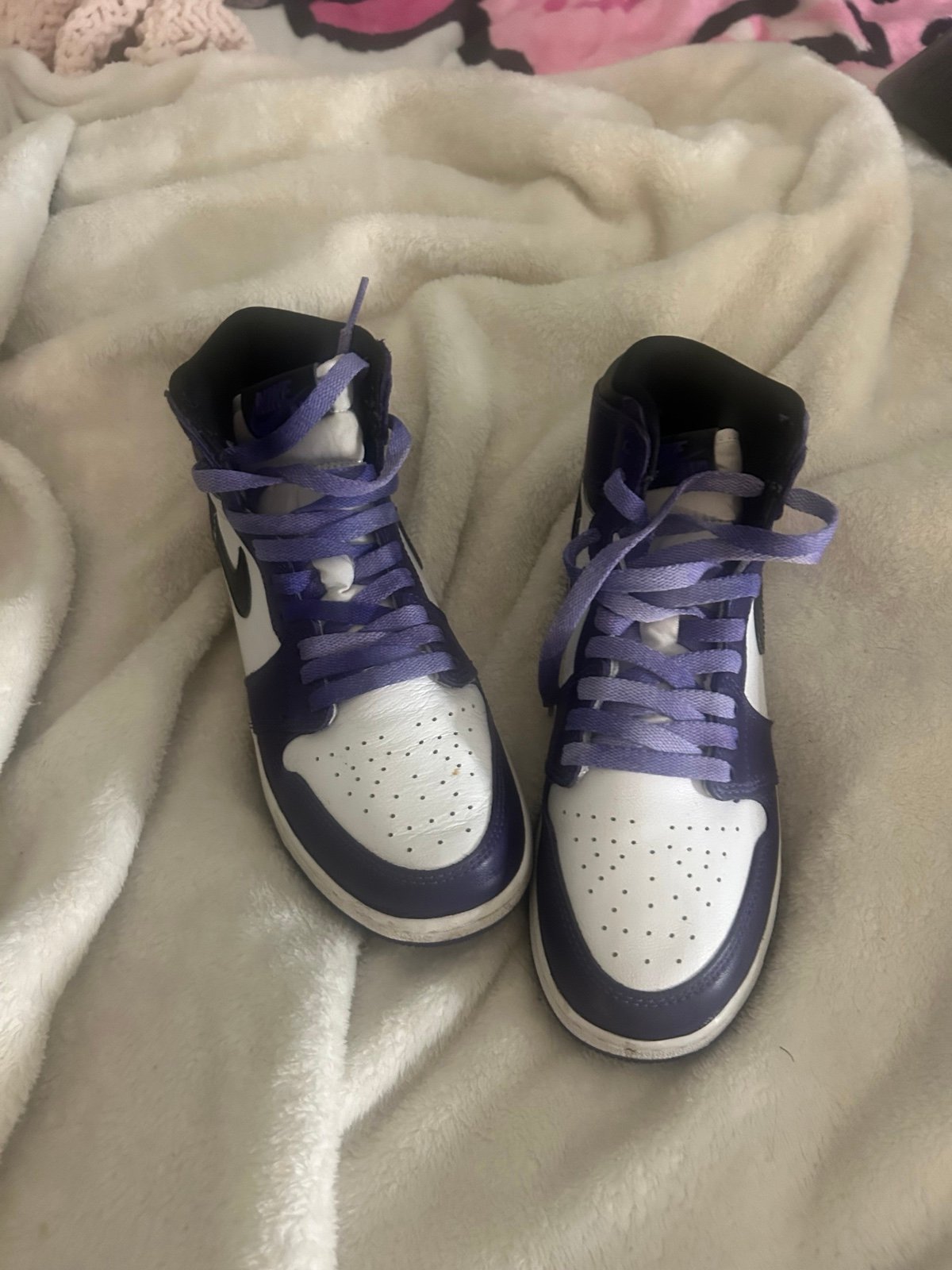 Jordan 1 court purple