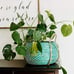 Modern Village Designer Plant Basket and Throw Blanket Basket (Teal)