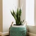 Modern Village Designer Plant Basket and Throw Blanket Basket (Teal)