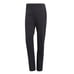 NWT adidas Terrex Multi Pants in Carbon