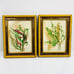Vintage Botanical Art Yellow Gold Gilt Pickled