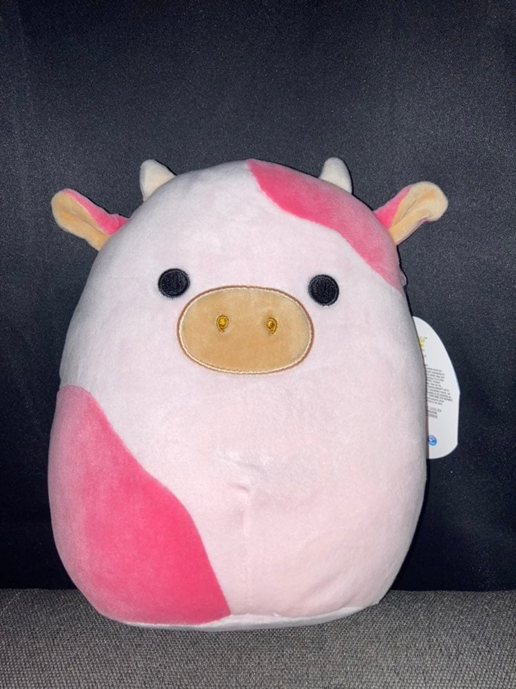squisssssshy | Mercari
