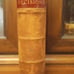 The American Decisions: Cases Of General Value 1880 Vol. XX A C Freeman