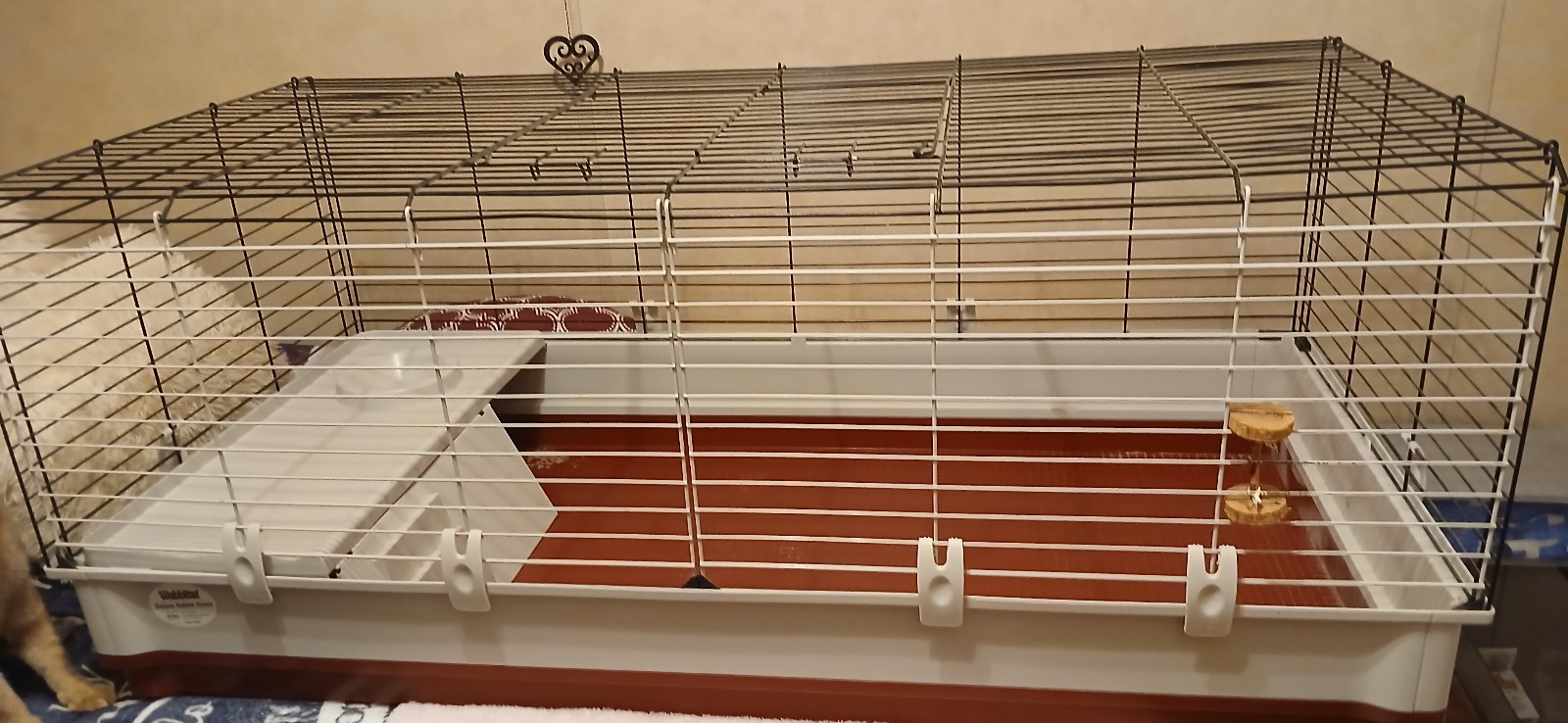 Rabbit cage