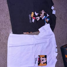 Zara tshirts