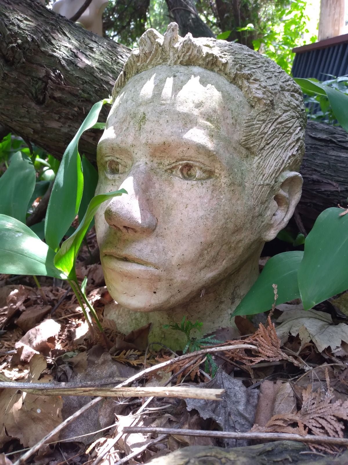 Concrete yard head, lifescale Ryan garden decor original art