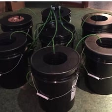 Complete 8-Plant RDWC (Drip Recircling Deep Water Culture) hydroponic system